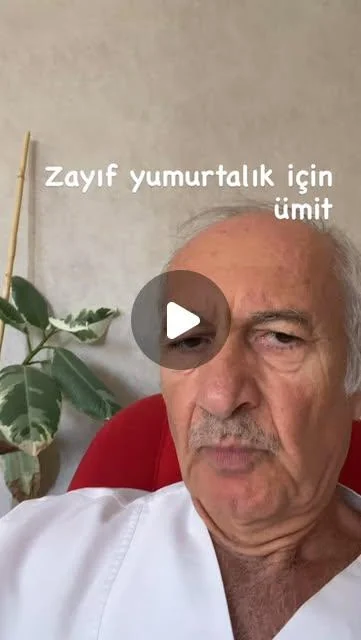 Yumurtalık rezervi üzerine